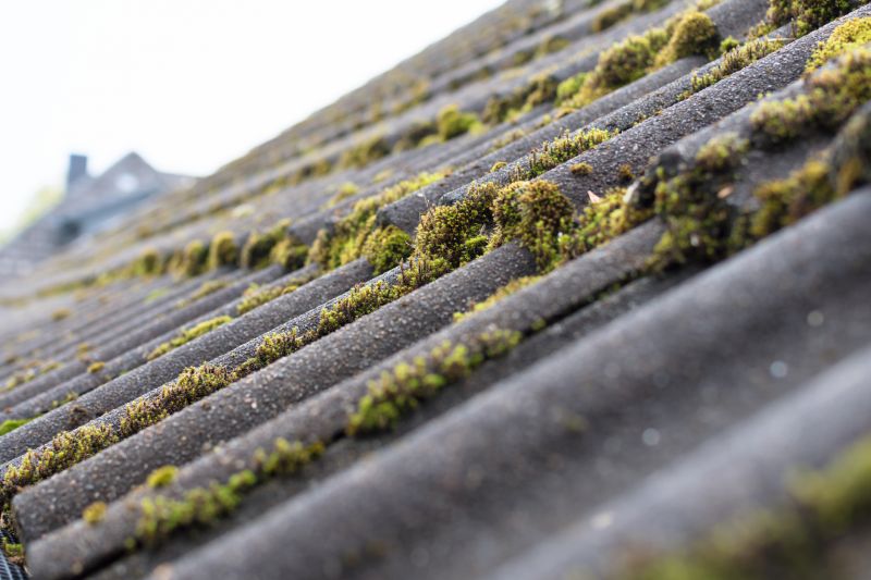 How Roof Cleaning Helps Prevent Mold, Algae, And Moss Growth