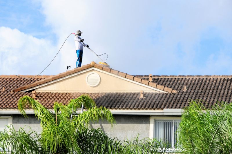 Roof Mold Cleaning