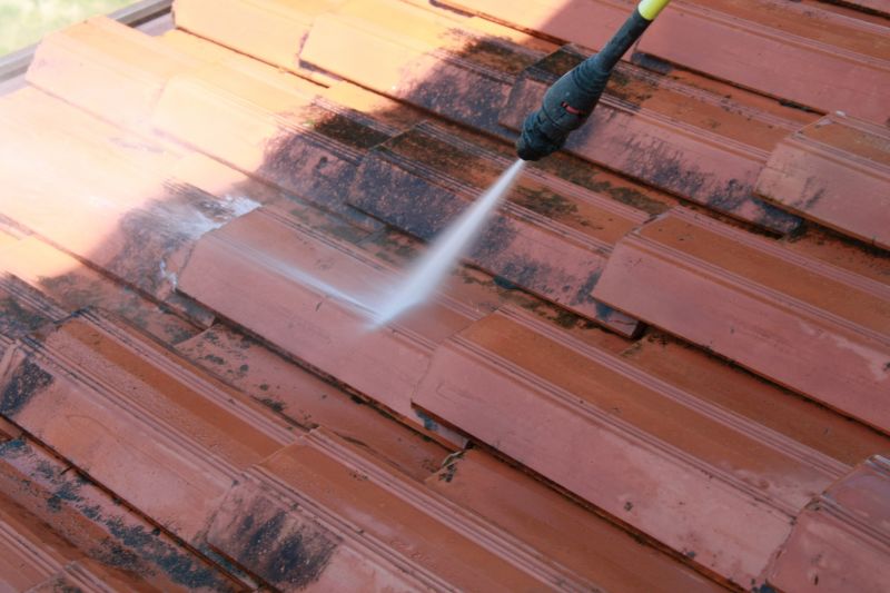 Roof Mold Cleaning