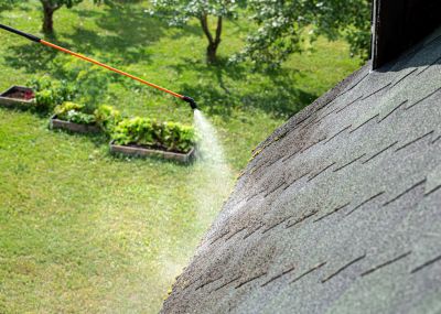 Roof Mold Cleaning