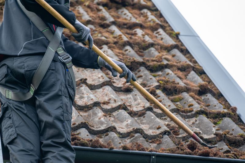 Roof Mold Cleaning