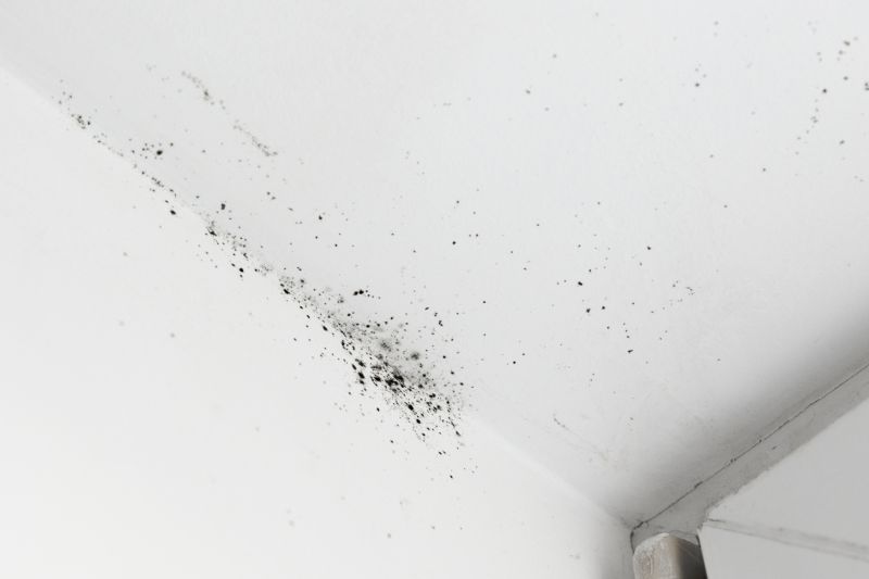 Mold-affected Roof Surface