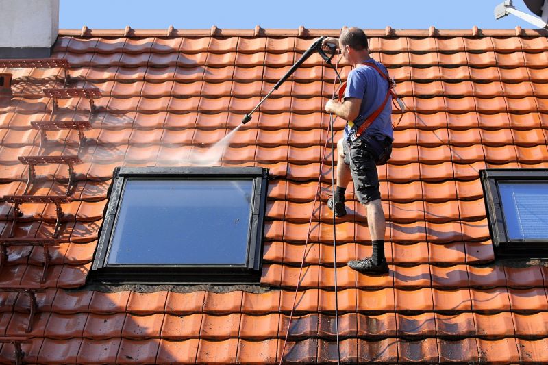 Signs Your Home Needs Professional Roof Cleaning