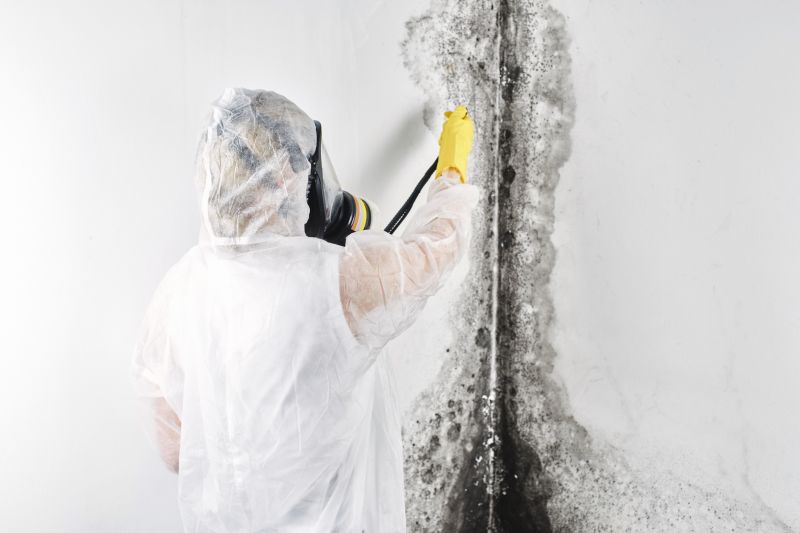 Specialized Mold Remediation Teams
