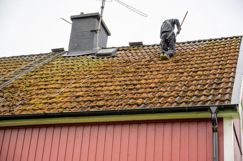 Roof Maintenance Contractors