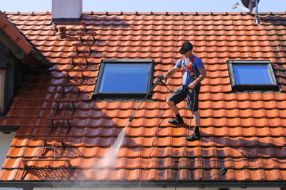 Grow your Roof Mold Cleaning business